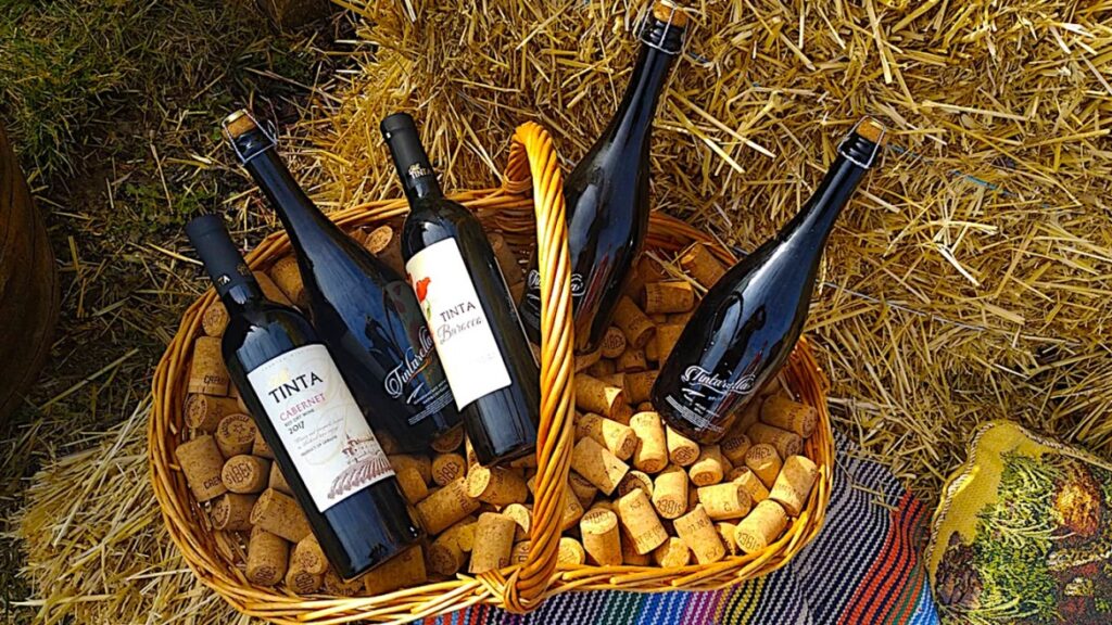 «УКРВИНПРОМ» ВСТАЛ НА ЗАЩИТУ ООО «ВИНХОЛ ОКСАМИТНОЕ», ОСУДИВ РЕЙДЕРСТВО