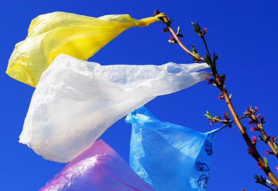 ЖИТТЯ БЕЗ ПЛАСТИКОВИХ ПАКЕТІВ. ЧИ АДАПТУЮТЬСЯ ДО ЦЬОГО УКРАЇНЦІ?
