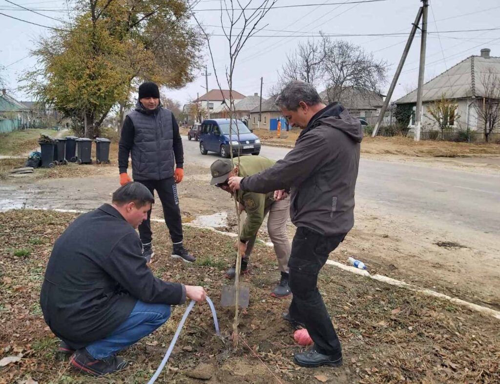 В БОЛГРАДСКОМ РАЙОНЕ ВЫСАЖЕНО 3 ГА ЛЕСОВ