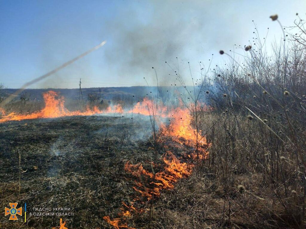 В ОДЕСЬКІЙ ОБЛАСТІ ЗА ДОБУ ЗГОРІЛО БІЛЬШ 70 ГА ЗЕМЛІ