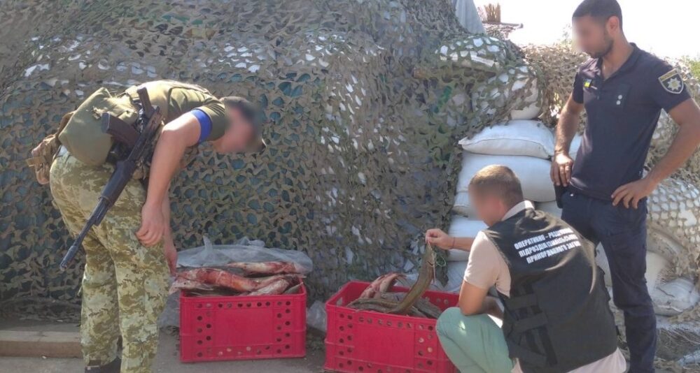 НА ОДЕЩИНІ У ВОДІЯ МІКРОАВТОБУСА  ВИЯВЛЕНО ЗАБОРОНЕНИЙ ВАНТАЖ: ЧЕРВОНОКНИЖНУ РИБУ