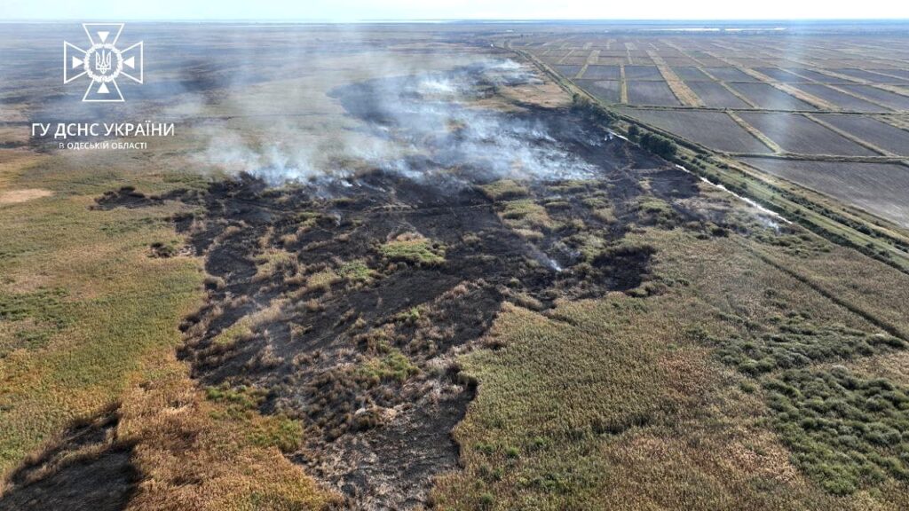 БІЛЬШЕ НІЖ ТИЖДЕНЬ ГОРИТЬ ДУНАЙСЬКИЙ БІОСФЕРНИЙ ЗАПОВІДНИК