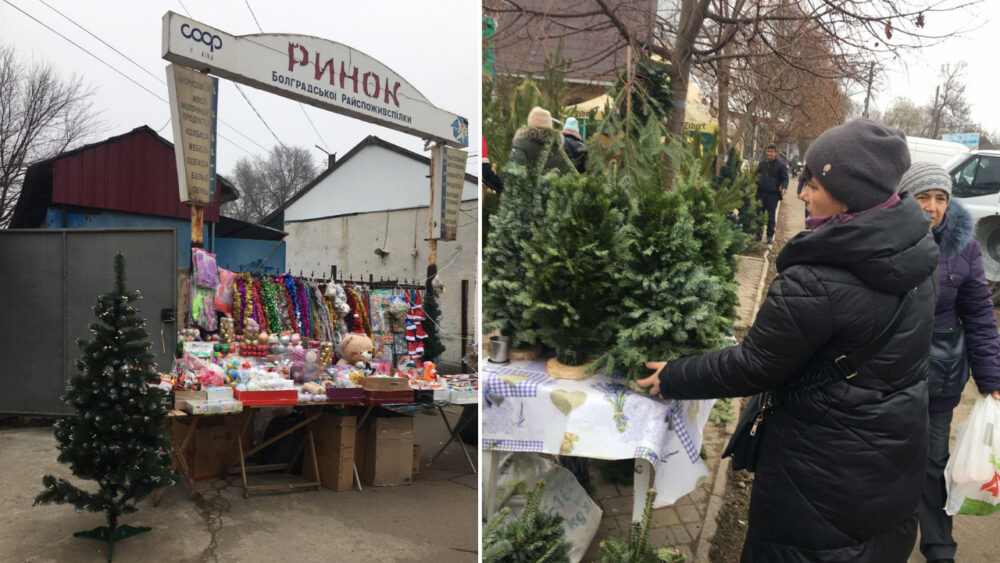 ГОТУЄМОСЯ ДО НОВОГО РОКУ: СКІЛЬКИ В БОЛГРАДІ КОШТУЄ ГОЛОВНИЙ АТРИБУТ СВЯТА? (ФОТО)