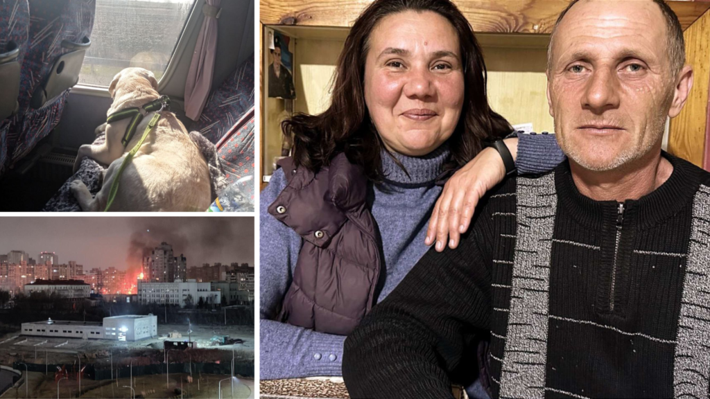 Евакуаційний автобус Київ-Залізничне: історія переселенки Марини Абакуменко
