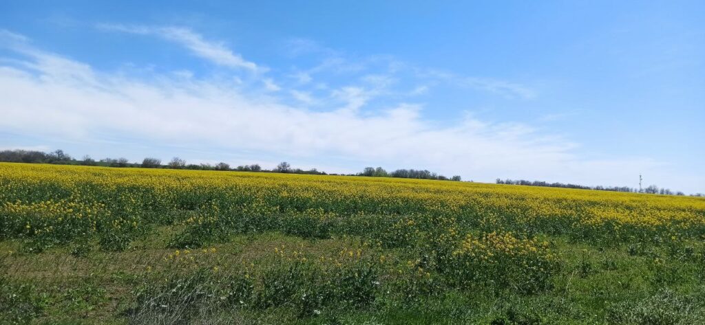 З понеділка на півдні Одещини чекаємо зміну погоди