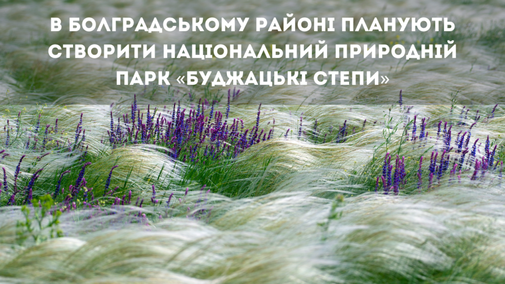 Ландшафтний заказник місцевого значення «Тарутинський степ» може стати національним природним парком