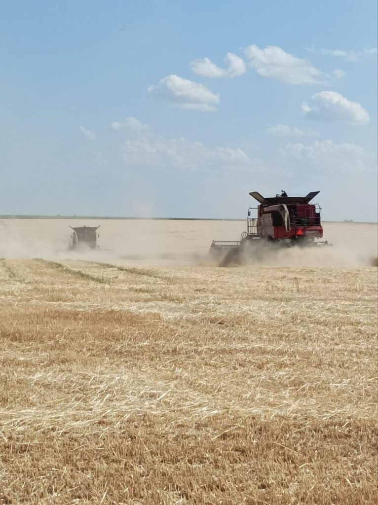 Це зображення має порожній атрибут alt; ім'я файлу photo_2023-06-22_10-29-08-3-766x1024.jpg