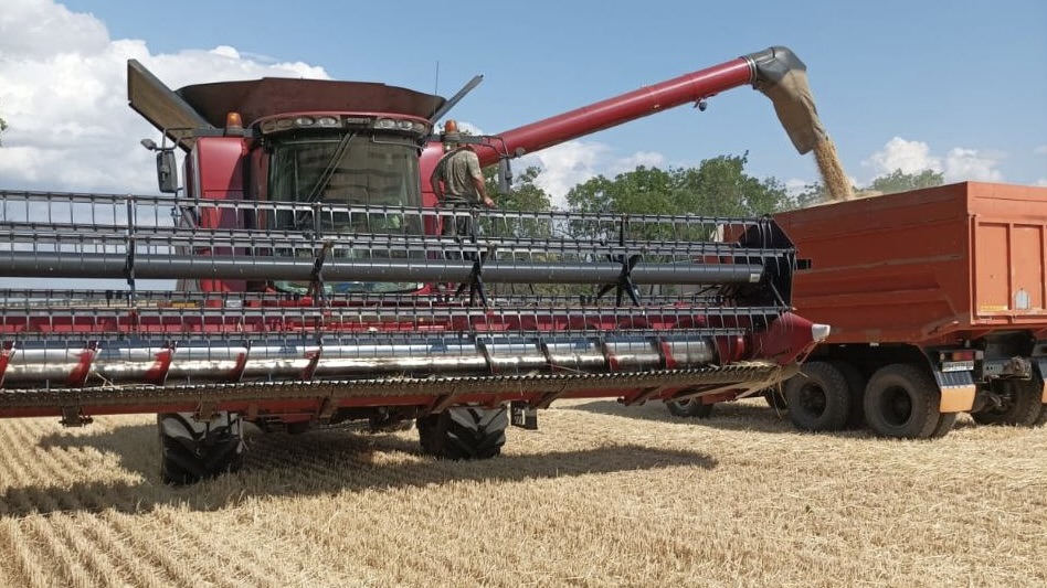 На Одещині зібрали перший мільйон тонн зерна: Болградський район один з лідерів з врожайності