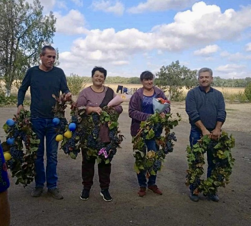 Підприємства Саратщини закінчили збір винограду з результатом, який перевищує загальний показник у два рази