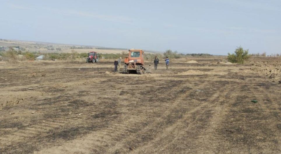 У Василівській громаді відновлюють ліси: для чого?