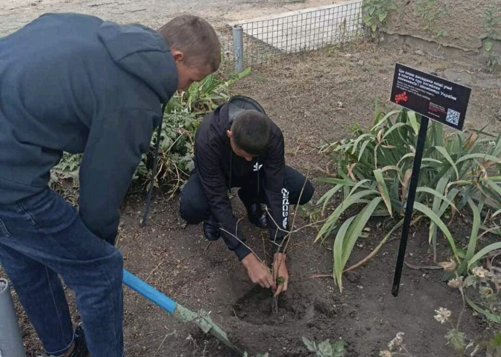 В маленькому селі Петропавлівської громади висадили калину на честь загиблого воїна