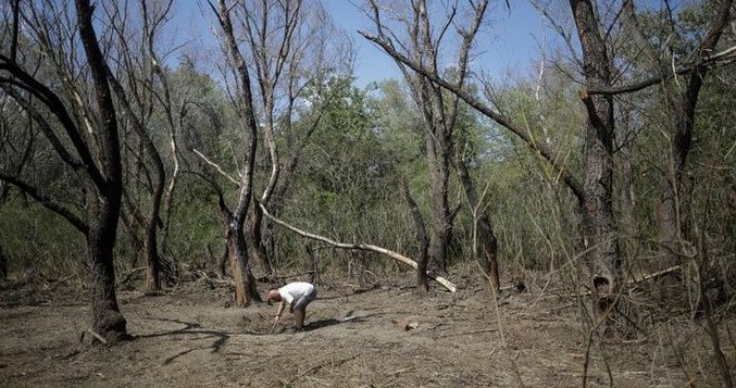 Сьогодні вночі російський “шахед” впав на території Румунії: реакція країни