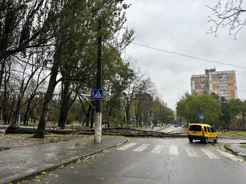 Понад 18 тисяч осель на Одещині залишаються без світла через негоду