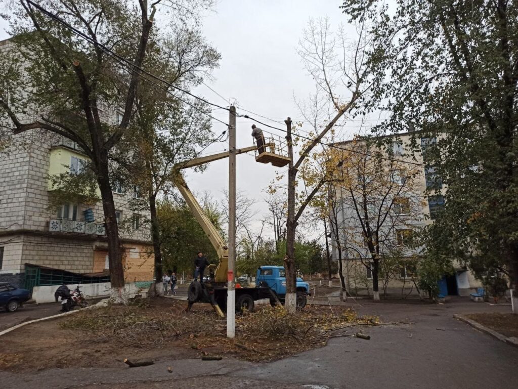 Мешканці Арциза скаржаться на масову вирубку дерев комунальниками: що на це відповіла місцева влада