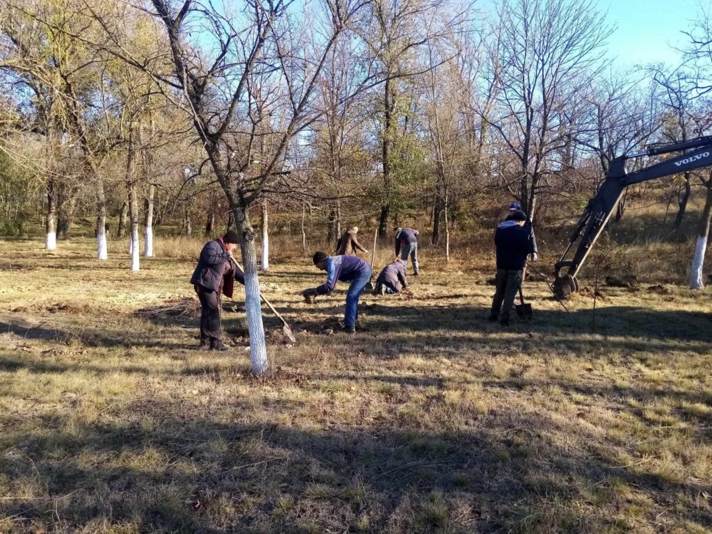 Активіст з села Павлівка Болградського району багато років допомагає озеленяти населені пункти громади 