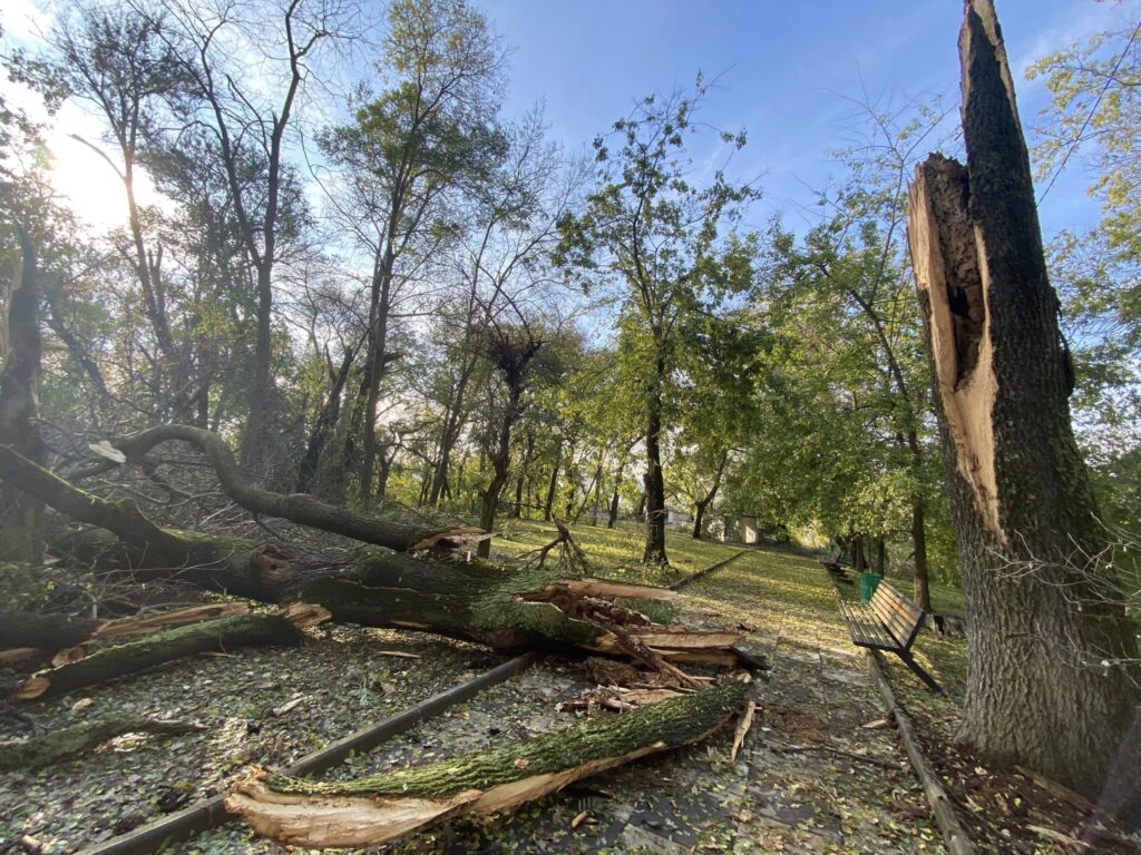 Як виглядає головний парк Болграда після негоди? (Фото)