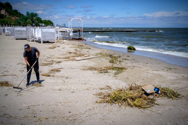 Чи безпечно вже їсти морепродукти із Чорного моря: думка екологів