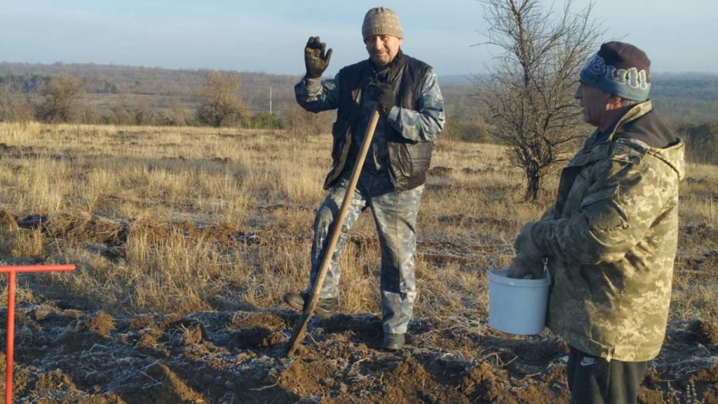 У Рені вирішили відродити дубовий гай за містом