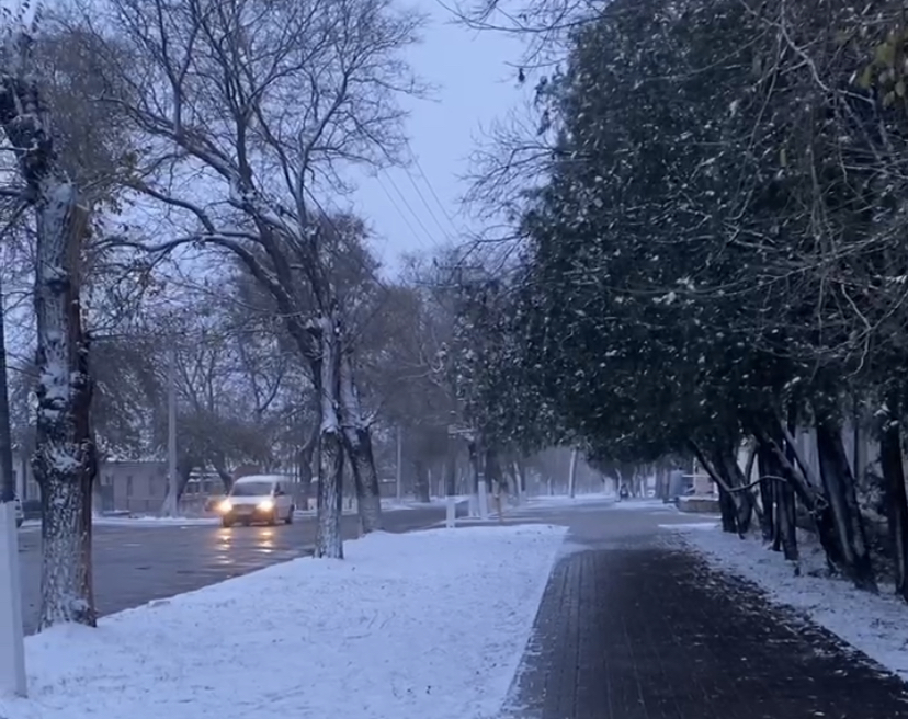 На Одещині протягом доби буде туманно: водіїв закликають бути вкрай уважними в умовах поганої видимості