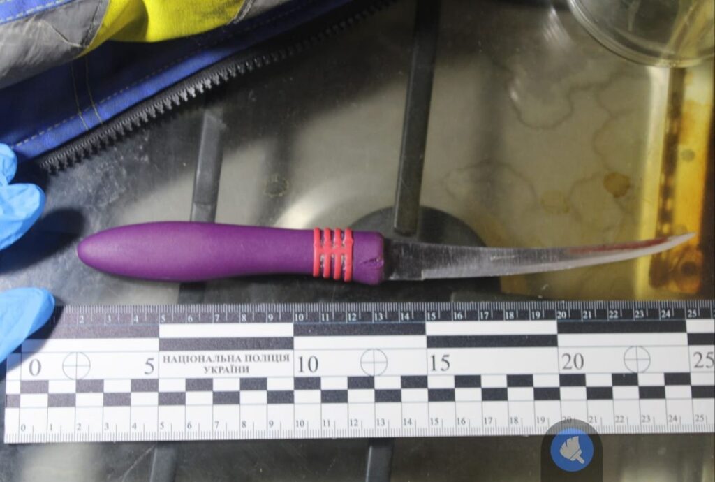 Помстилася за образи: мешканка Тарутинської громади ледь не зарізала співмешканця