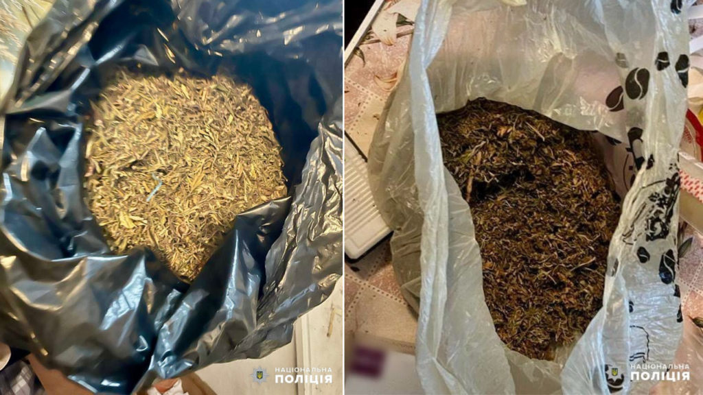 “Два кілограми для власного вживання”: мешканцю Татарбунар за виготовлення наркотиків загрожує до трьох років в’язниці 