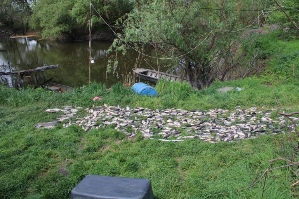 На Одещині правоохоронці виявили браконьєра з уловом риби на мільйон гривень
