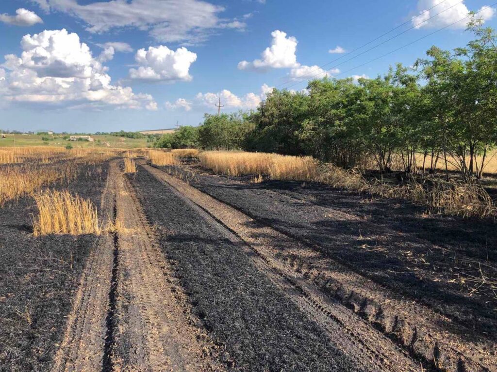 На Болградщині горіло поле з пшеницею (Фото)