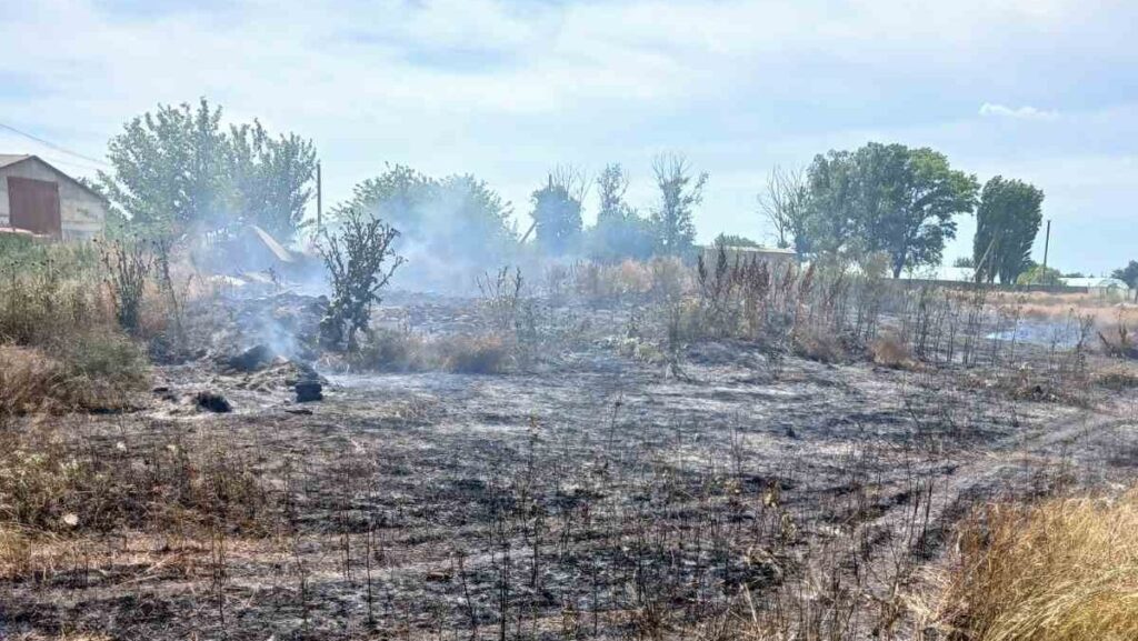 В Ренійській громаді сталася масштабна пожежа: згоріли покинуті будівлі та 2,5 гектари землі