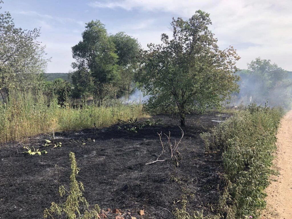 На півдні Одещини за останню добу сталося дві резонансні пожежі, від яких постраждали люди