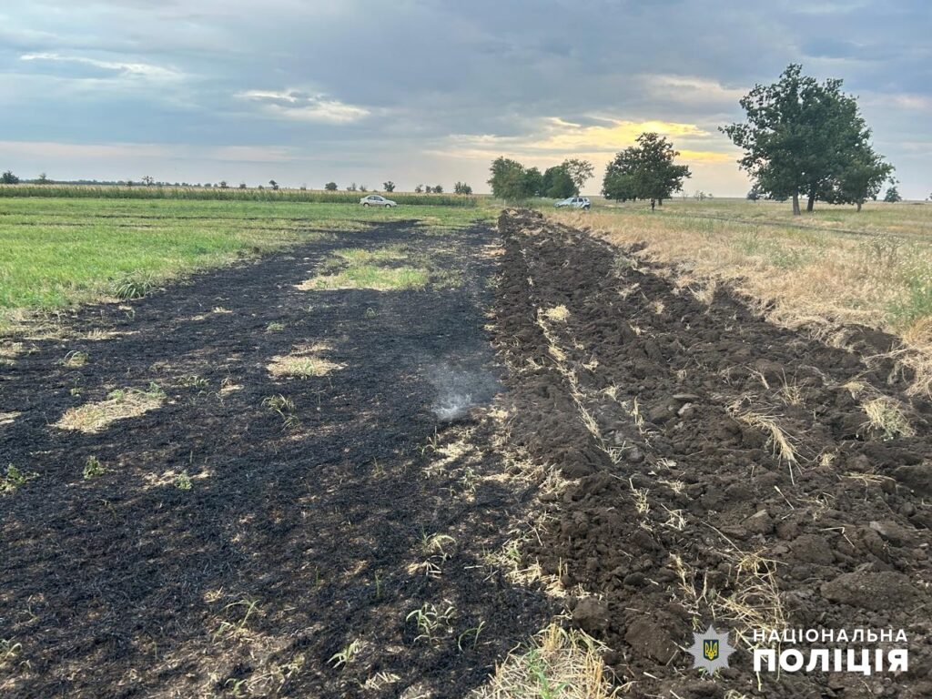 Не захотів витрачатися на прибирання, тому підпалив поле: аграрій з Болградщини постане перед судом через неправомірні дії