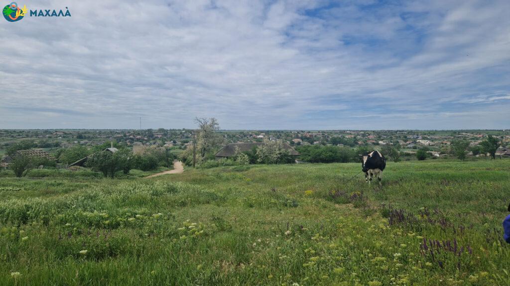 В Україну повертається нова хвиля спеки: що чекати мешканцям півдня Одещини