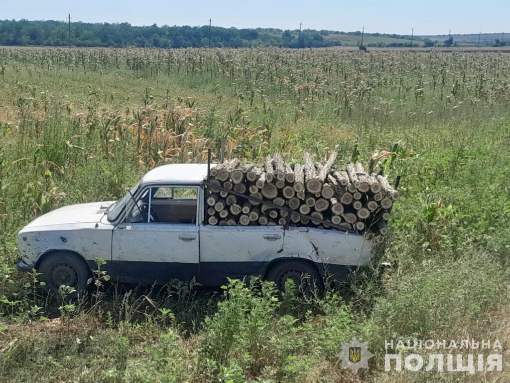 Браконьєру з Білгород-Дністровського району за вирубку дерев у лісосмузі загрожує в’язниця