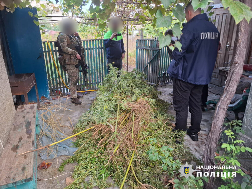 Мешканець Білгород-Дністровського району влаштував вдома наркоплантацію та виготовляв канабіс