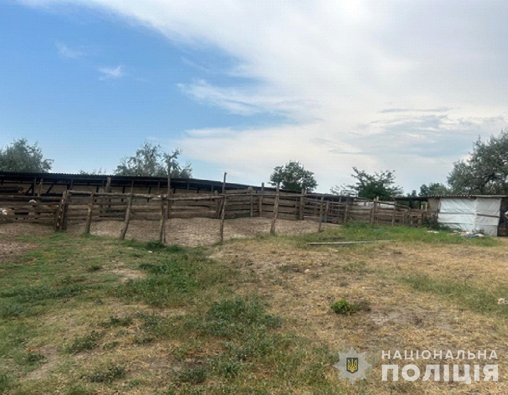 Мешканець Болграду збудував огорожу для овець на березі озера Ялпуг, за це йому загрожує позбавлення волі  