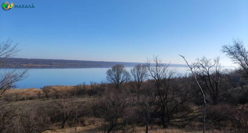 Як збирати сухостій: що вирішили в Тарутинській селищній раді