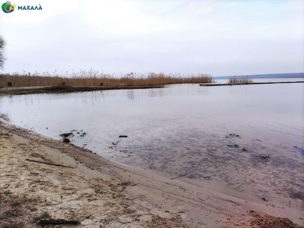 Дощів багато, але рівень води Придунайських озер залишається нижче норми