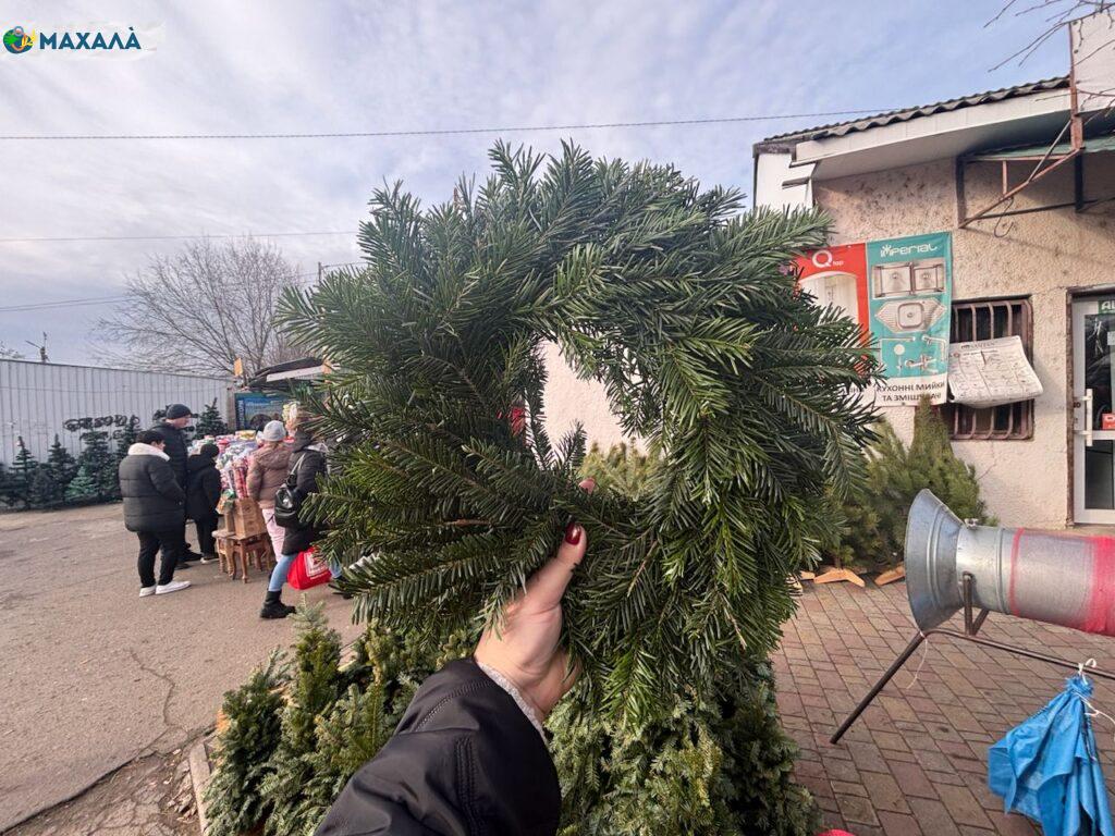 Ялинковий ринок: скільки коштує новорічна ялинка в Болграді?