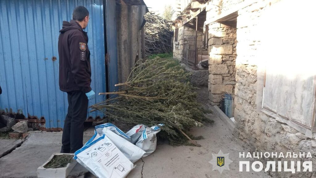 Житель Білгород-Дністровського району постав перед судом за оборудки з наркотиками: як його покарали?