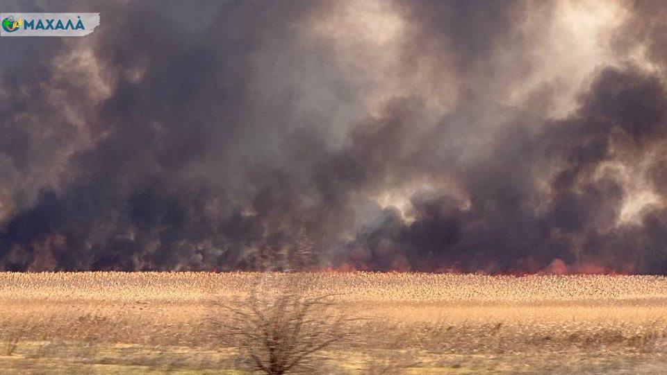 На Одещині розпочалася масштабна пожежа на відкритій території: вздовж траси Одеса-Рені палає очерет 