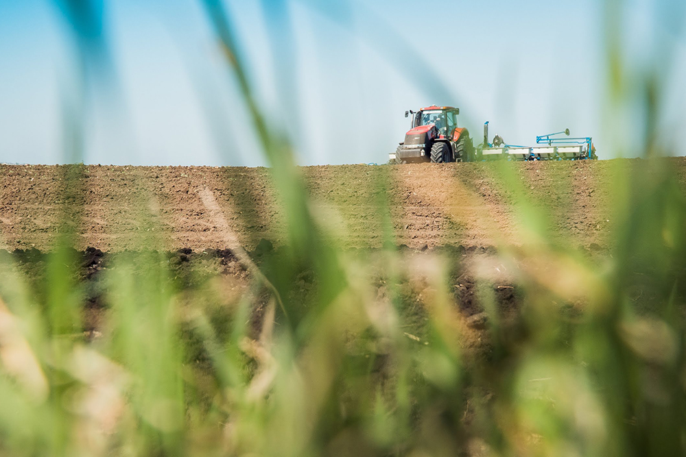 У Болградському районі завершено посівну кампанію ярих культур