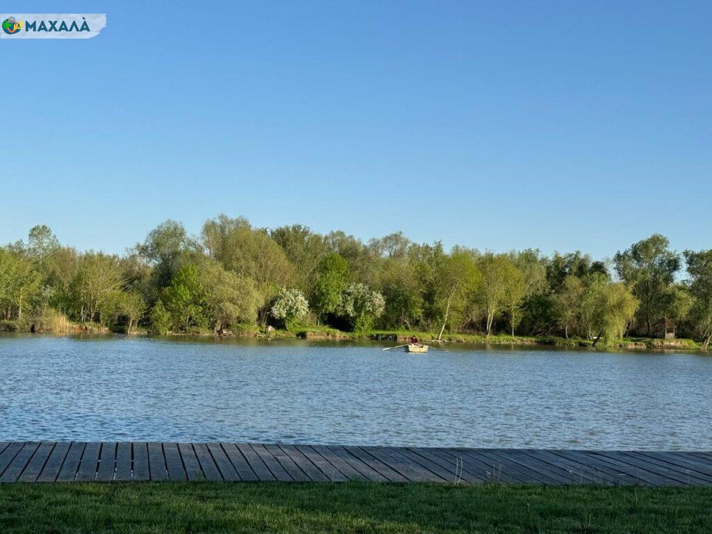 29 червня — міжнародний день Дунаю: цікаві факти про годувальника півдня Одещини та виклики, з якими він стикається протягом століть