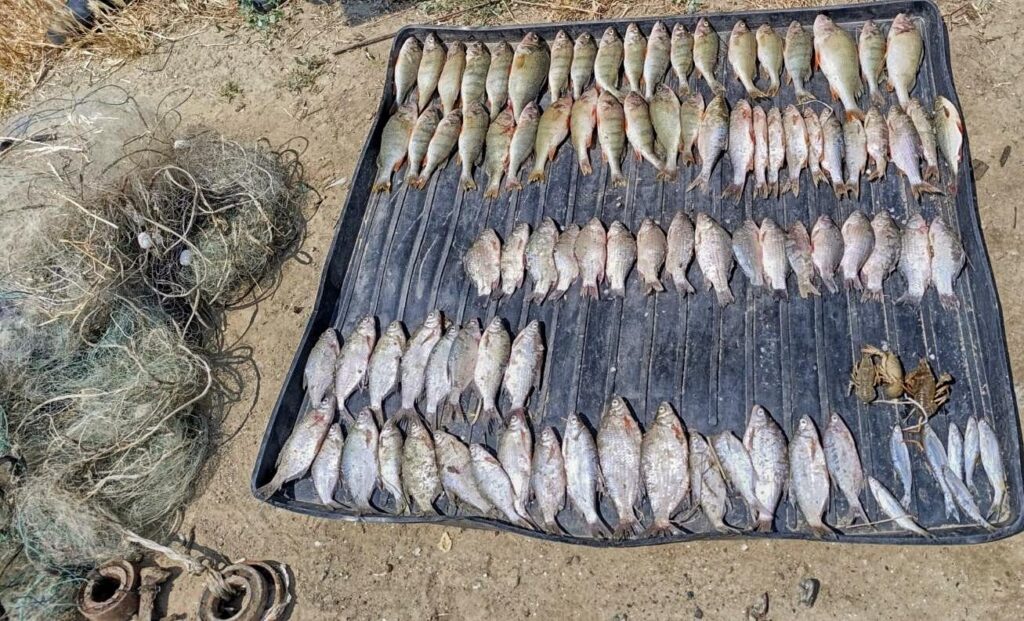 На озері Кагул викрили браконьєра з уловом на майже 200 тисяч гривень