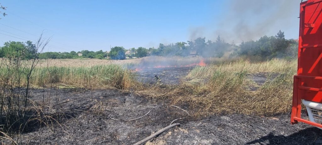 В Ізмаїлі неподалік порту спалахнула масштабна пожежа (Фото)
