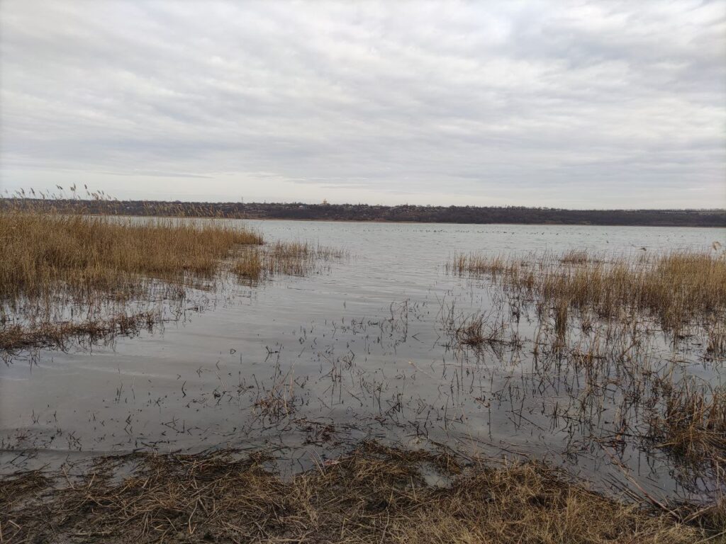 <strong>Як в Ізмаїльському районі рятують Придунайські водосховища, щоб не допустити екологічної катастрофи</strong>