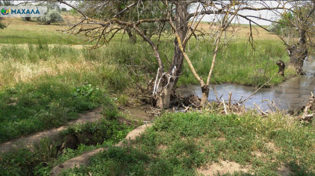 Зникаюча річка біля Болграда: чи має Минзул шанс на порятунок?