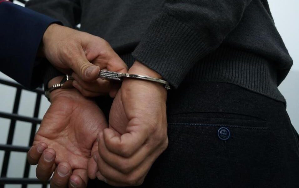 Мешканцю Одещини, якого підозрюють у сексуальному насильстві над собакою, обрано запобіжний захід