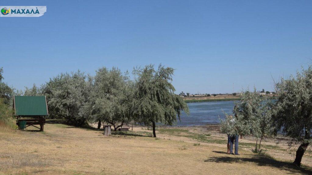 Зони відпочинку на озері Ялпуг: ініціатива мешканців села Владичень