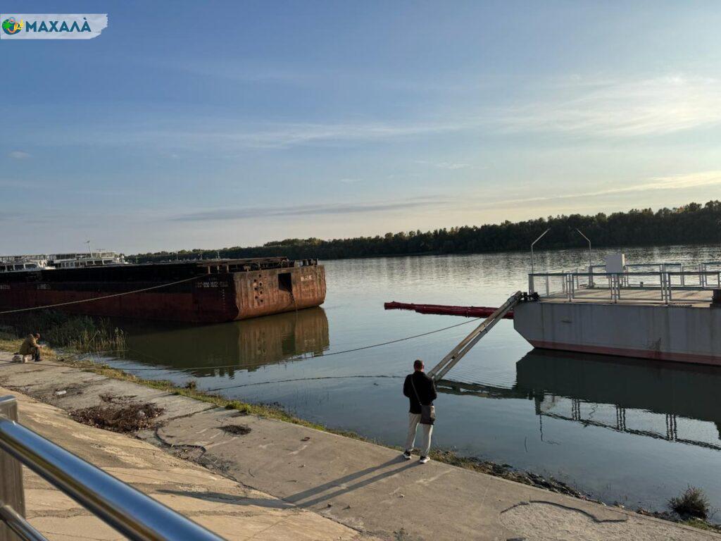 У Дунаї в межах Ізмаїла та Рені провели моніторинг якості води: результати невтішні