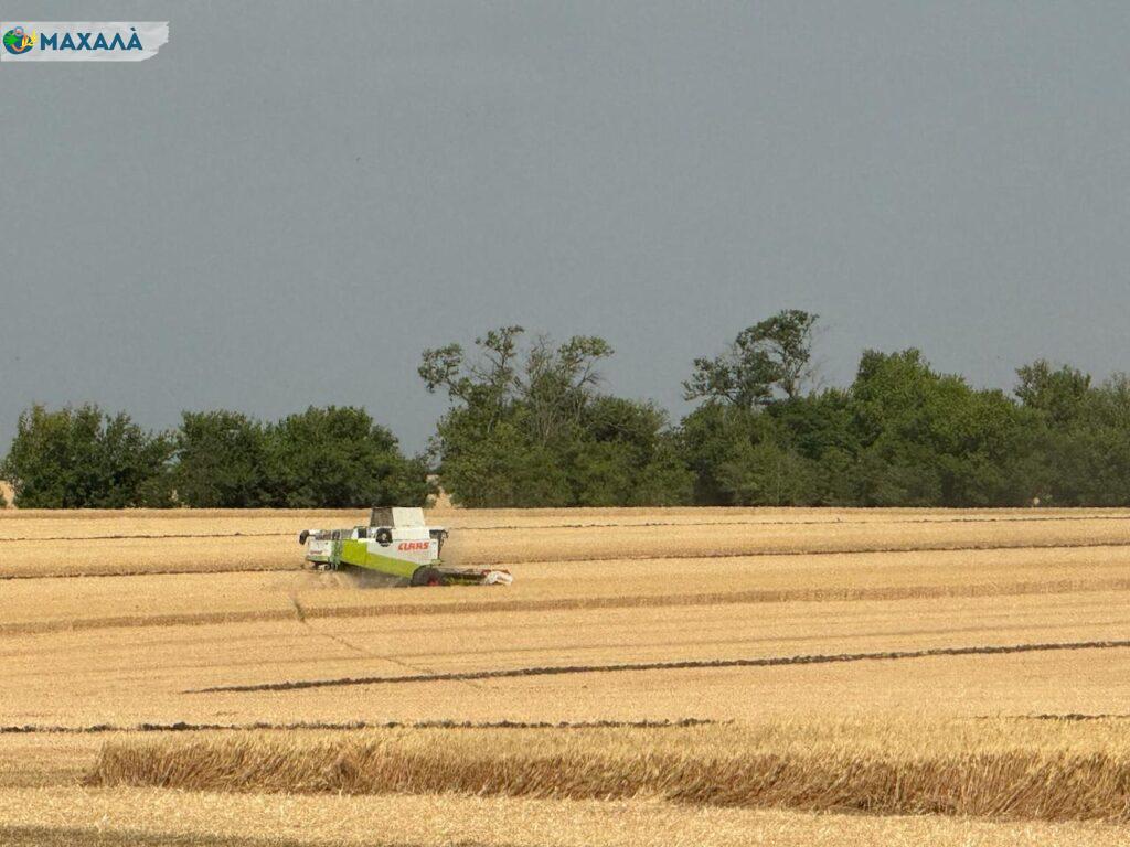 Одещина серед лідерів з відкриття нових агрокомпаній в Україні
