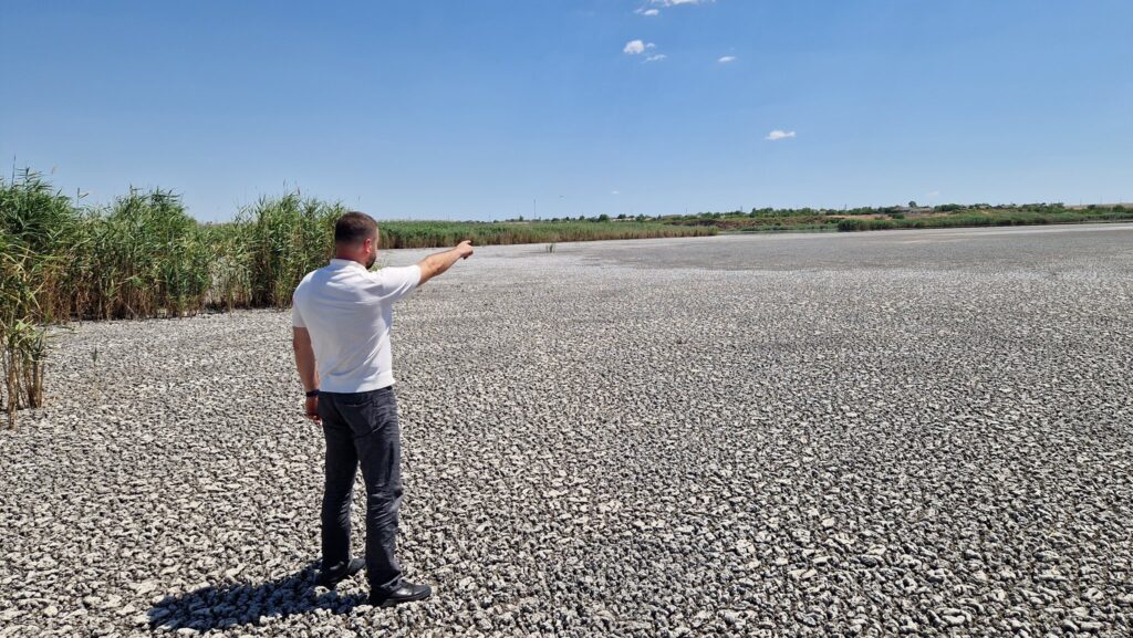 Озеро Китай на межі зникнення: що каже влада про екологічну катастрофу в Ізмаїльському районі